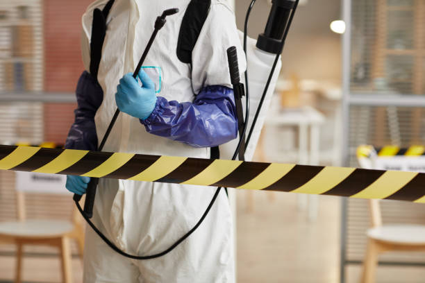 Professional Biohazard technician working in Grandview, TX